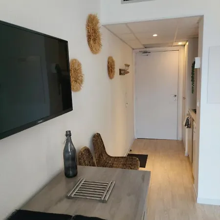 L'ethnik--studio Confort--clim--parking--wifi لورد